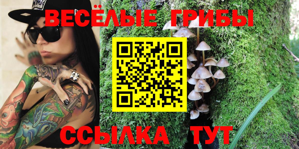 Галлюциногенные грибы GOLDEN TEACHER Мытищи