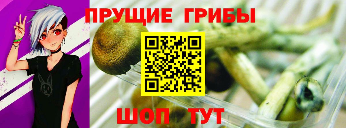 Псилоцибиновые грибы прущие грибы  Вход с VPN  Мытищи  Галлюциногенные грибы Cubensis 